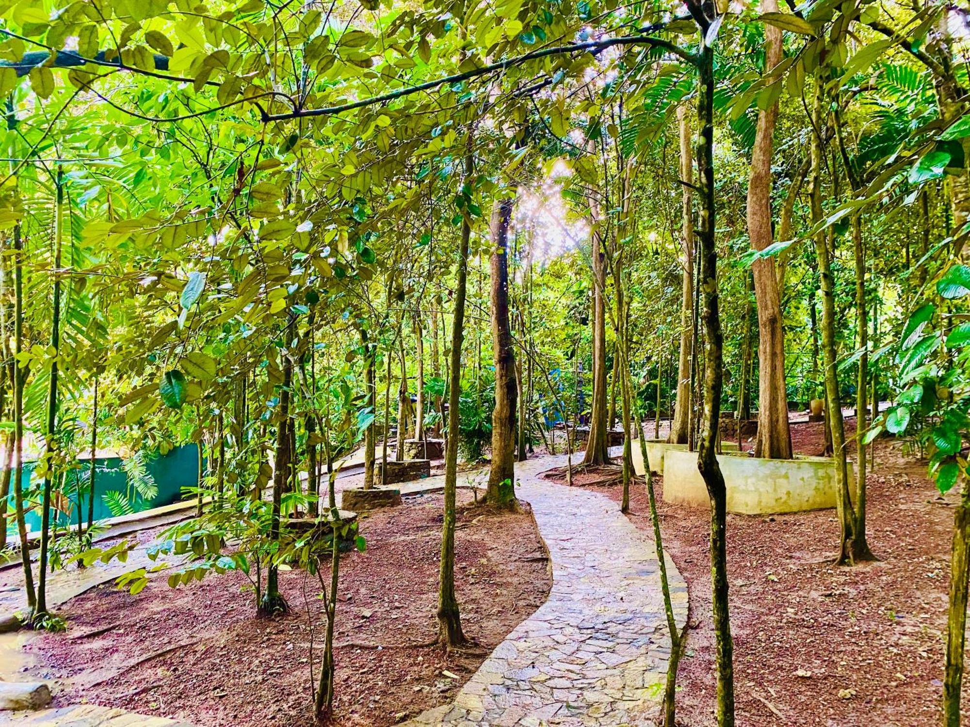 Nature Will Ahangama Dış mekan fotoğraf